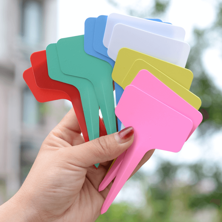 Succulent Label Inserts Small Label Listing Plant Inserts Flower