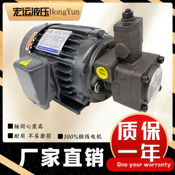 Hydraulic Oil Pump Motor Group Vp20 +0.75kw1.5 Hydraulic Pump Assembly
