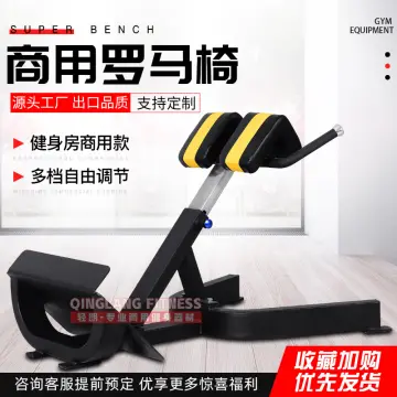 Roman Chair Gym Equipment Best Price in Singapore Jan 2024