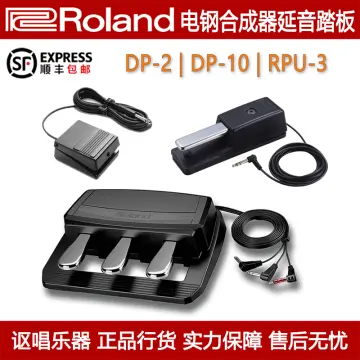 Roland DP2 Sustain Pedal - SSE Music