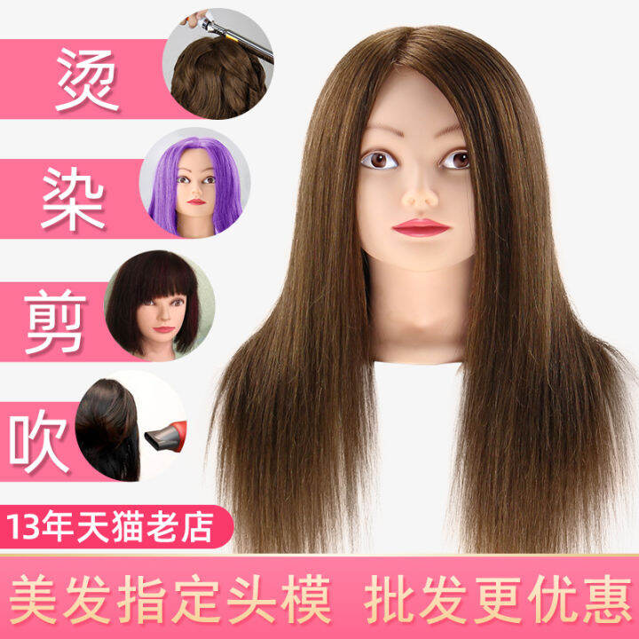 Head Model Hairdressing Dummy Model Hair Real Hair Full Real Apprentice ...