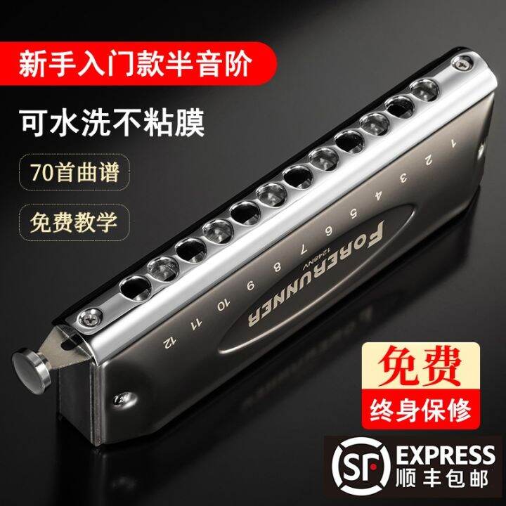 Dongfangding Forerunner 12Hole Chromatic Scale No Diaphragm NonMuco