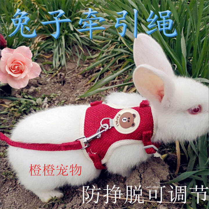 Rabbit Leash Rabbit Outing Rope Rabbit Rope AntiBreak Adjustable