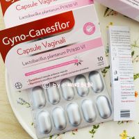 ยารักษาเชื้อราในช่องคลอด bayer canesflor