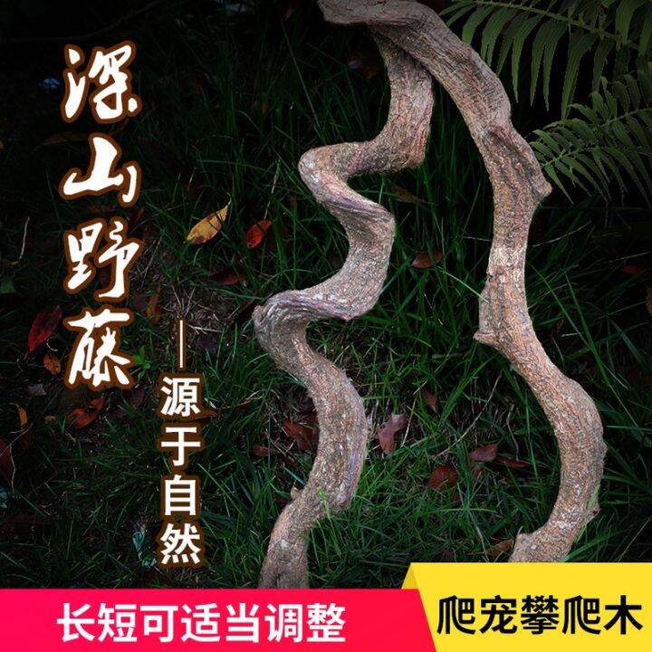 Entirely Natural Climbing Pet Feeding Box Rattan Landscaping Natural