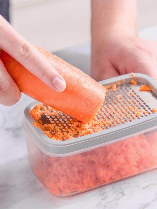 Japan Manual Ginger Garlic Grinder Garlic Grinder Stainless Steel