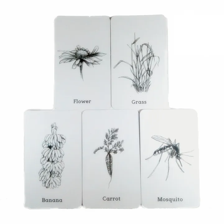 Octagon Studio Flash Card ANIMAL 4D / Kartu Animasi Pendidikan 4D tentang Hewan | Lazada Indonesia Octagon Studio Flash Card ANIMAL 4D / Kartu Animasi Pendidikan 4D tentang Hewan | Lazada Indonesia