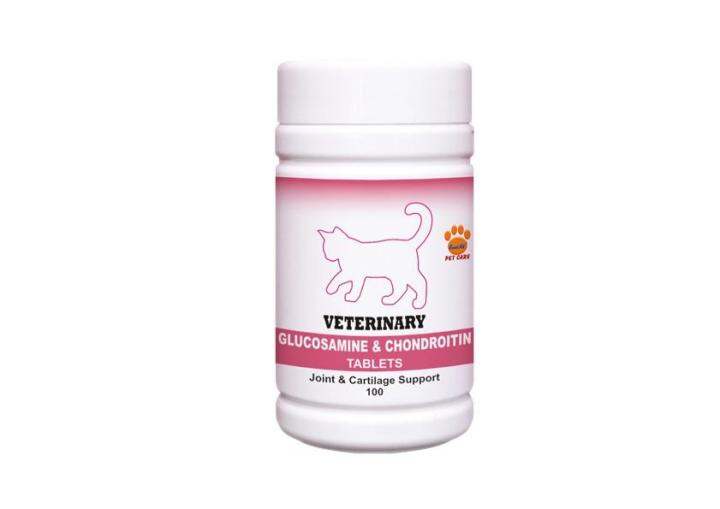 Veterinary Cat Glucosamine & Chondroitin Lazada Indonesia