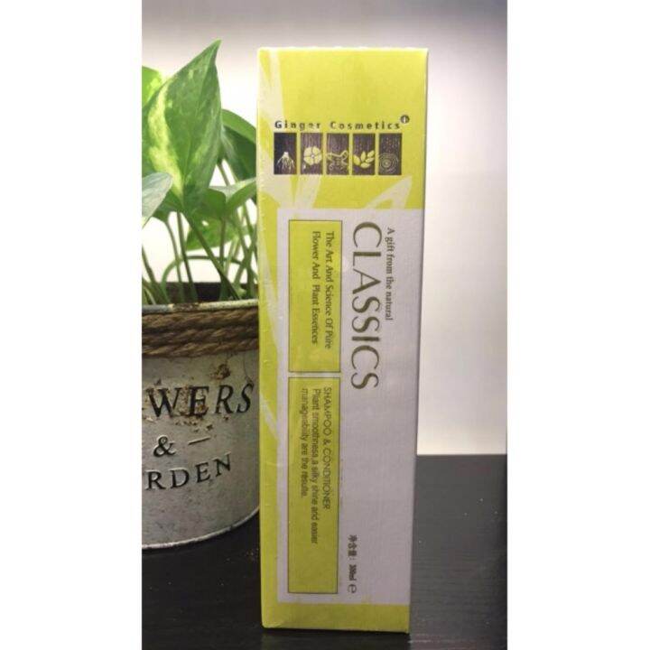 TaiWan Ginger paste Classic Dandruff Ice tea tree wash Shampoo 300ML