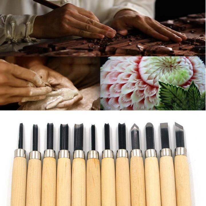 12pcs Professional Manual Wood Carving Hand Chisel Carving Tool Set for ...
