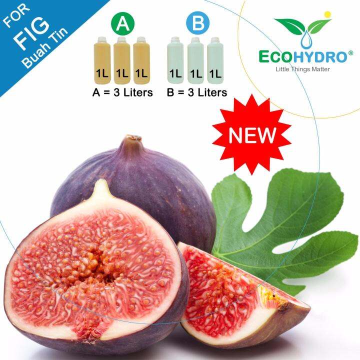 600Grams FIG Fertilizer AB Fertigation Nutrients Solutions DIY Dry