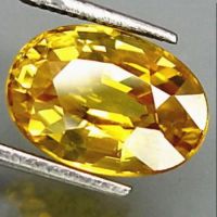 Unheated Gem Yellow Sapphire Oval Shape AAA Natural Loose Gemstone 10 x 14mm New