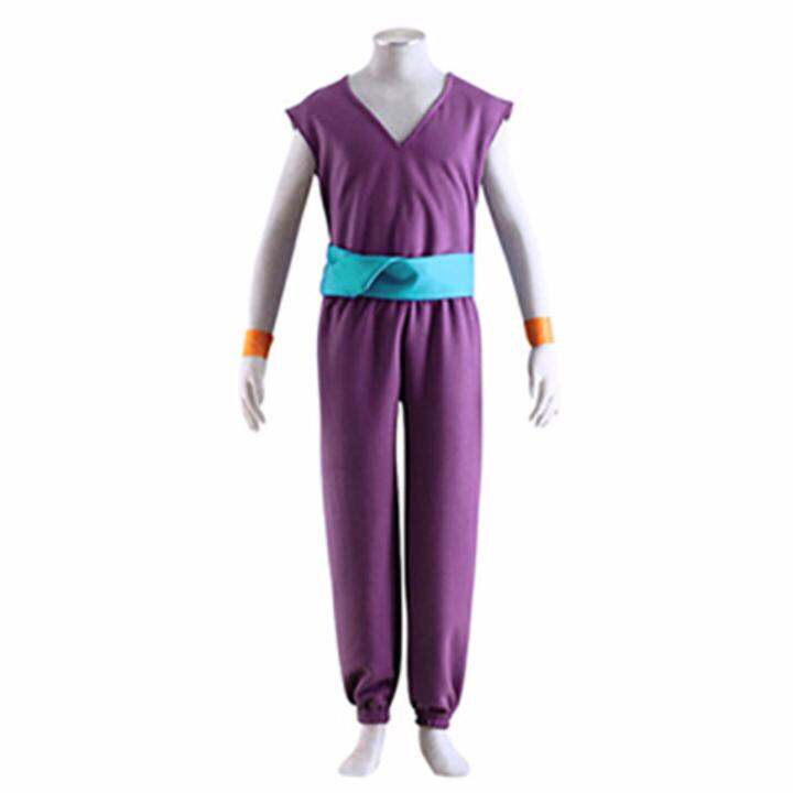 Dragon Ball - Gohan Costume (Adult Size) (Small) | Lazada PH