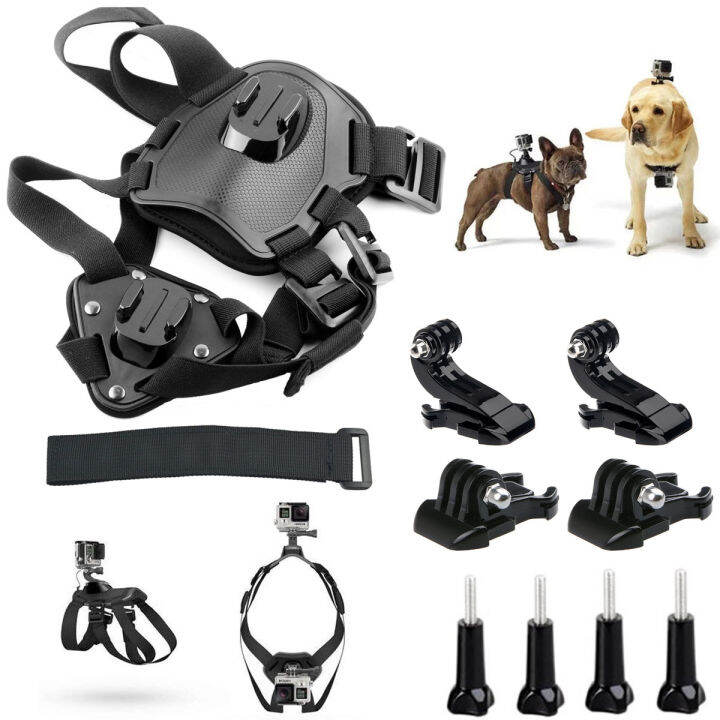 Dog shoulder outlet belt