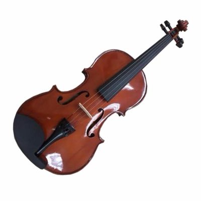 Jacobson ไวโอลิน ขนาด 4/4 Violin 4/4  รุ่น MV-012
