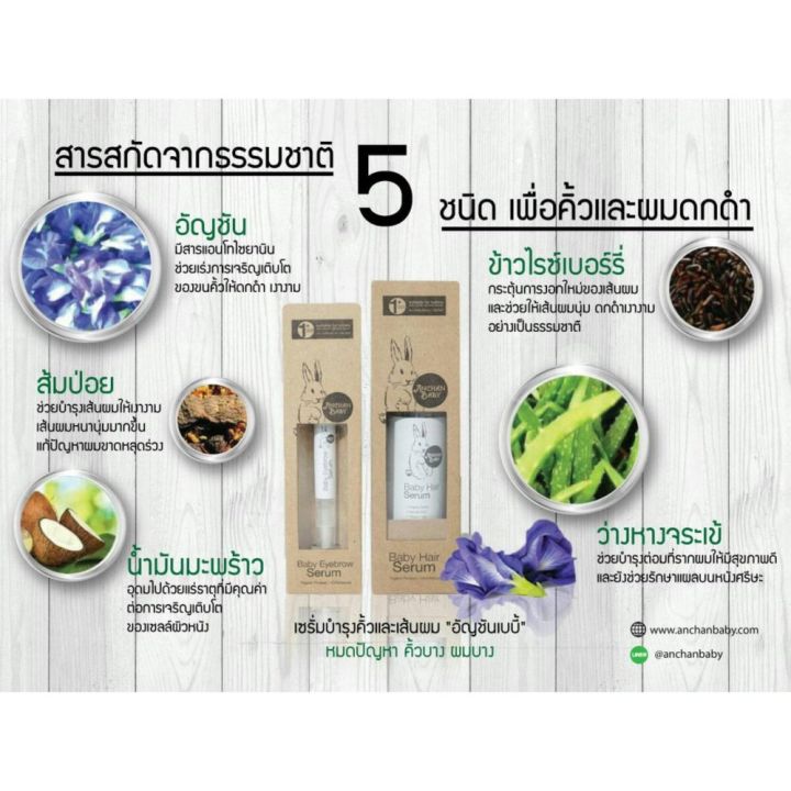 anchan-baby-อัญชันเบบี้-เซรั่มบำรุงคิ้ว-เซรั่มอัญชันบำรุงคิ้ว-organic-eyebrow-serum-สำหรับเด็ก-คิ้วเข้มใน-30-วัน