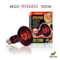 Exo Terra Infrared 100W หลอดไฟอินฟราเรด  สำหรับกกไฟกลางคืน [EX10]