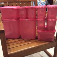 Tupperware ชุดครอบครัวเอสคิว สีชมพู (10 )