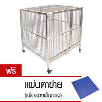 Q Line กรงสัตว์เลี้ยง/น้องหมาสเตนเลส 100 x 105 ซม. ST-494/2 - Silver (ฟรี แผ่นรองตาข่าย)