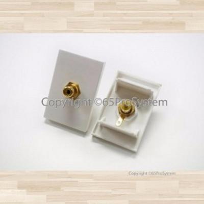 65Smarttools Subwoofer Wall Plate