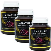 Lanature Grape Seed ลาเนเจอร์ สารสกัดจากเมล็ดองุ่น ทานทุกวัน ฝ้า กระ จางลง ผิวพรรณดีจากภายใน บรรจุ 30 เม็ด (3 กระปุก)