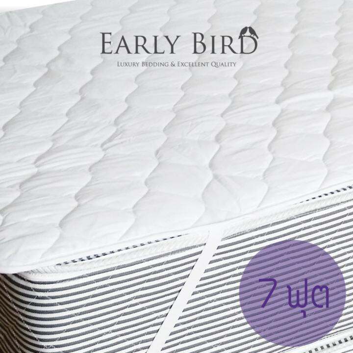 Early Bird Bedding ผ้ารองกันเปื้อนที่นอน รุ่นมาตรฐาน 7 ฟุต Lazada.co.th