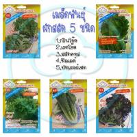 เมล็ดพันธุ์ ผักสลัด 5 ชนิด ชุด B