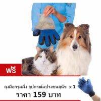 True Touch ถุงมือหวีขน อุปกรณ์แปรงขนสัตว์เลี้ยง หวีขนหมาและขนแมว Grooming Gloves อุปกรณ์แปรงขนสุนัข  ซื้อ 1 แถม 1