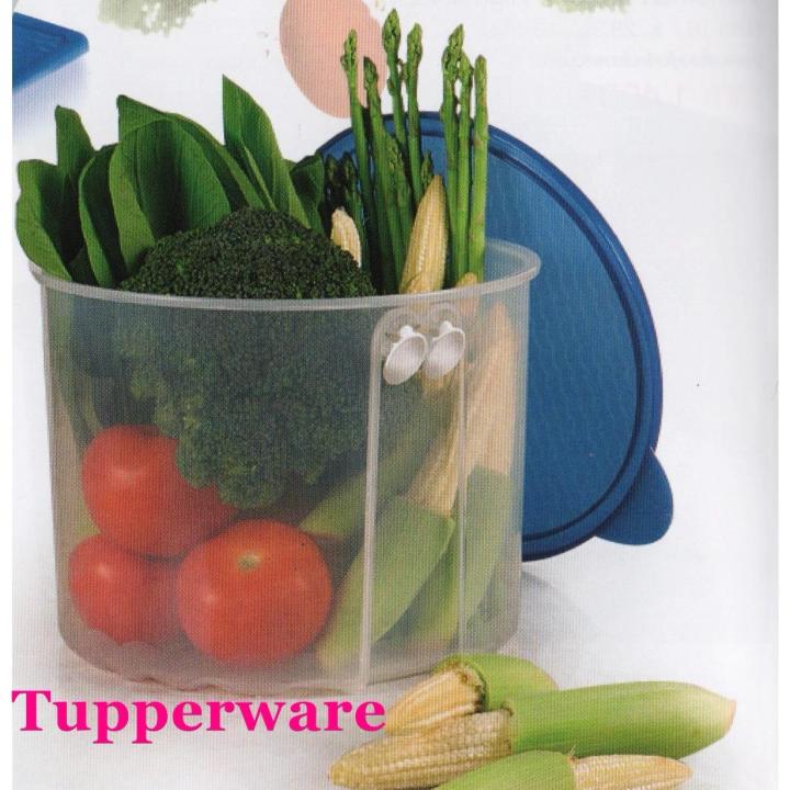Tupperware ฟริดจ์สมาร์ท 4.7 ลิตร สีขาว