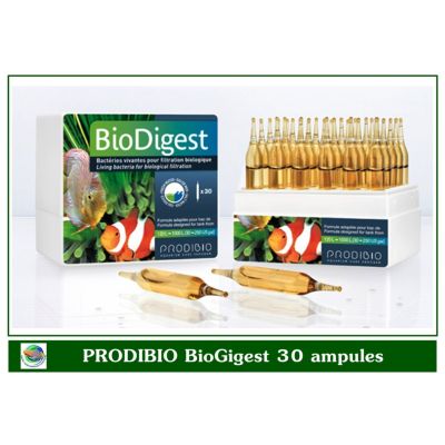 PRODIBIO BioDigest แบคทีเรียช่วยย่อยสลายแอมโมเนีย ไนเตรต และไนไตรท์ ขนาด 30 หลอด