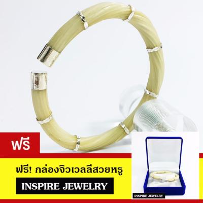 INSPIRE JEWELRY กำไลเครื่องประดับมงคลขนหางช้าง หางอาฟริกาหางช้างแท้ อาฟริกา