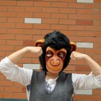 COSPLAY คอสเพลย์ Monkey Mask หน้ากากลิงสุดฮา สำหรับฮาโลวีน Halloween คริสต์มาส Christmas ป่วนงานปาร์ตี้ ( คอลเลคชั่นของสะสม ) สวมได้ทั้งหัว