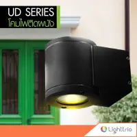 Lighttrio โคมไฟติดผนังภายนอก ไฟตกแต่งภายนอก รุ่น UD-1818-1/BK