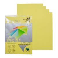 กระดาษ สี สเปคตรา Spectra Color Paper  A4 160g. (50 แผ่น) 6 ชุด - Yellow