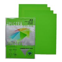 กระดาษ สี สเปคตรา Spectra Color Paper A4 160g. (10 แผ่น) 12 ชุด- Parrot