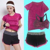 ชุดออกกำลังกาย โยคะ Indoor Exercise Clothing แพ็คคู่ 3 ชุด - pink (สปอร์ตบรา+กางเกงสำหรับออกกำลังกาย+sport clothing)