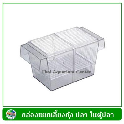 กล่องแยกเลี้ยงปลา กุ้ง ในตู้ปลา Breeder Box