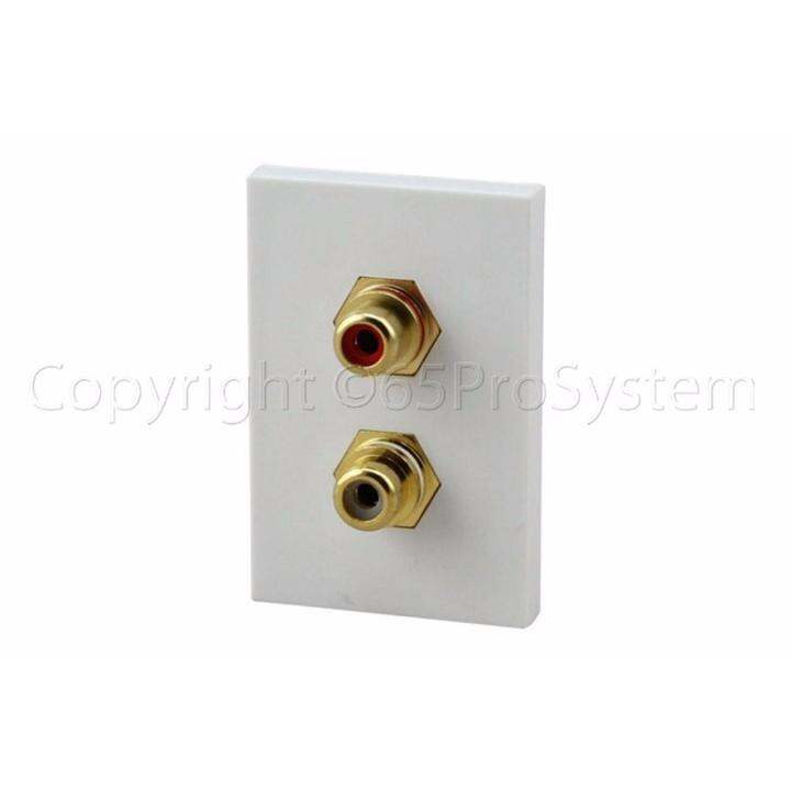 65smarttools-2-rca-wall-plate