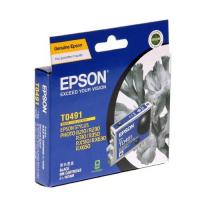 EPSON T0491 BK