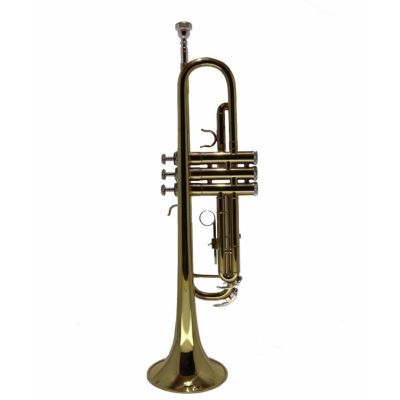ทรัมเป็ด trumpet -tp043