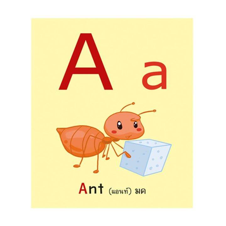 การ์ดช่วยจำ-อักษร-abc