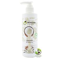 Tropicana , แชมพูน้ำมันมะพร้าว กลิ่น COCONUT สูตร NON PARABEN  ขนาด 240 ML