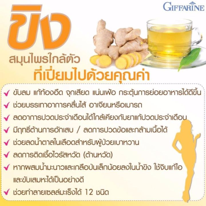 giffarine-s-ginger-เครื่องดื่มขิงสกัด-เพื่อสุขภาพ-เข้มข้น-ไม่มีน้ำตาล-บำรุงร่างกาย-เพื่อสุขภาพ-1-กล่อง