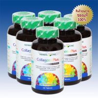 Herbal One คอลลาเจน พลัส Collagen Plus Capsules 6 Packs