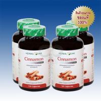 Herbal One ซินนามอนแคปซูล อบเชยเทศ 100 Capsule 4 กระปุก