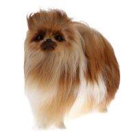 BolehDeals เหมือนจริงตุ๊กตาสัตว์สุนัข Pomeranian สำหรับเครื่องประดับของเล่นเด็ก - นานาชาติ