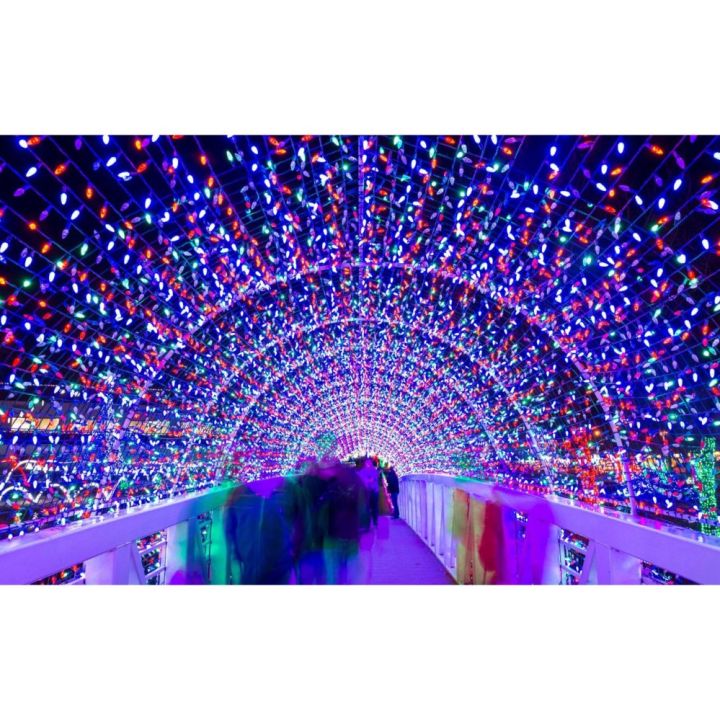 christmas-light-led-ไฟกระพริบ-led-กันน้ำ-rgb-เปลี่ยนสี-ได้-7-สี-ปรับไฟได้-8-จังหวะ