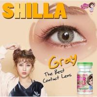 sale!! Pretty Doll Little Shilla Gray  สายตาสั้น 250 50 400  รหัสสินค้า 045 HelloBeautyCenter